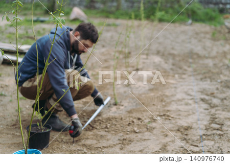 A man measures the spacing while planting dogwood saplings on his countryside property A man measures the spacing while planting dogwood saplings on his countryside property 140976740