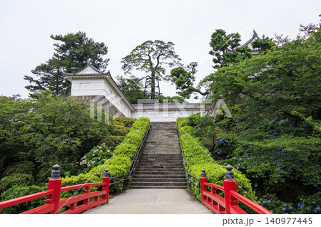 梅雨の小田原城址公園 梅雨の小田原城址公園 140977445