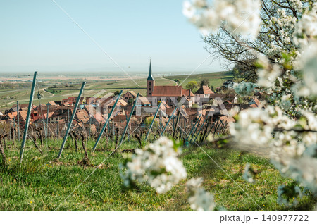 Wide Vineyard Panorama Village Church on Horizon Open Sky Wide Vineyard Panorama Village Church on Horizon Open Sky 140977722