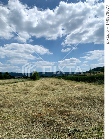 A lush field lies flat after hay cutting, framed by rolling hills and clouds on a bright sunny day A lush field lies flat after hay cutting, framed by rolling hills and clouds on a bright sunny day 140978077