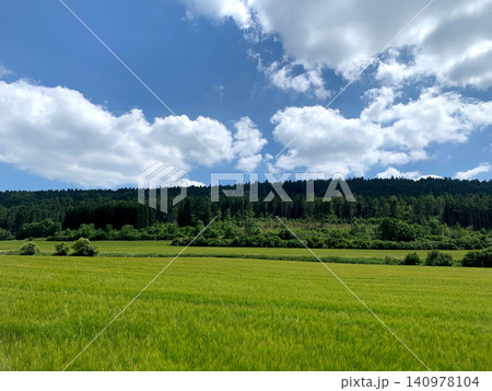 Lush green field stretches under a bright blue sky filled with fluffy clouds, surrounded by dense forest in the peaceful countryside Lush green field stretches under a bright blue sky filled with fluffy clouds, surrounded by dense forest in the peaceful countryside 140978104