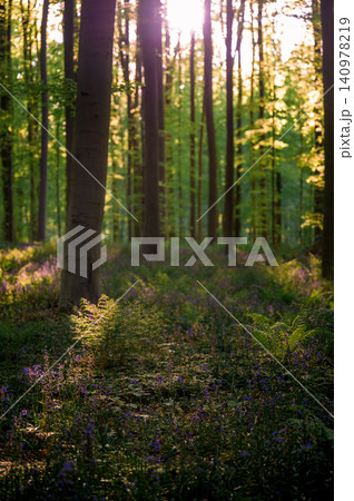 Slanting light creating long shadows Slanting light creating long shadows 140978219