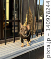 A French Bulldog dressed in a stylish black sweater and gold chain strolls on a wooden deck, surrounded by modern architecture 140978244