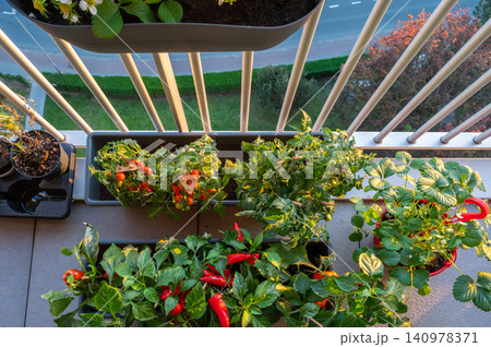 Overhead balcony view of assorted planters arranged along railing 140978371