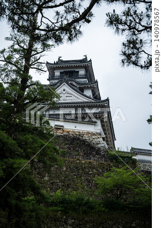 仰ぎ見る高知城天守閣 仰ぎ見る高知城天守閣 140978567