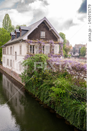 Wisteria Covered House by Canal Purple Vines Stone Facade 140978579