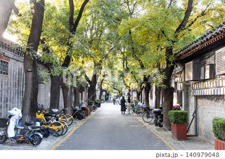 Hutong in Beijing China with sunlight filters through autumn trees lining a quiet street Hutong in Beijing China with sunlight filters through autumn trees lining a quiet street 140979048