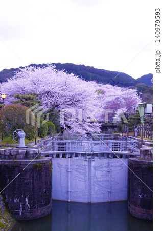 春の桜に彩られた琵琶湖疏水の閘門風景 春の桜に彩られた琵琶湖疏水の閘門風景 140979593