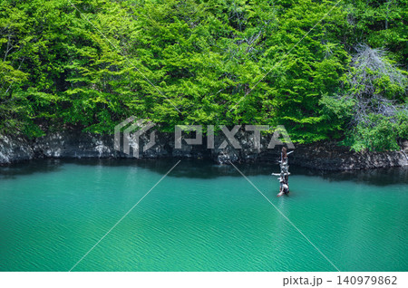 【奥裾花渓谷】裾花川と新緑と朽木【長野市鬼無里】 【奥裾花渓谷】裾花川と新緑と朽木【長野市鬼無里】 140979862