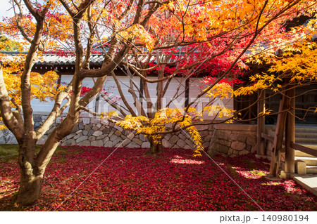 Fallen red maple leaf in garden by Tofuku-ji Tsutenkyo corridor, Kyoto Fallen red maple leaf in garden by Tofuku-ji Tsutenkyo corridor, Kyoto 140980194