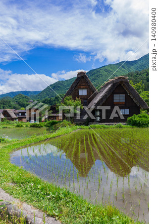 初夏の白川郷～明善寺庫裡近辺～ 140980400