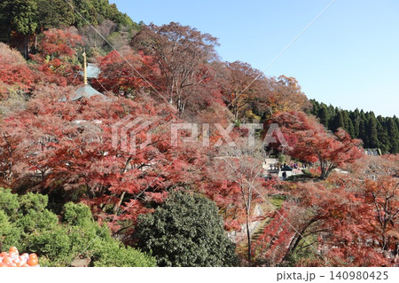 大阪府箕面市勝尾寺の秋の風景 大阪府箕面市勝尾寺の秋の風景 140980425