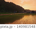 水田に映る夕焼け 魚沼市にて 140981548