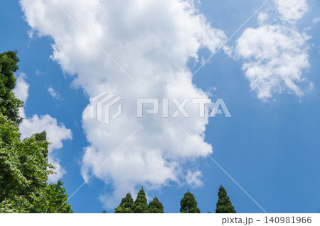 春の山から 青空と雲と木々01 春の山から 青空と雲と木々01 140981966