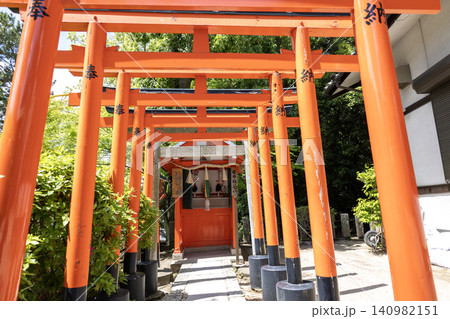 大阪／素盞嗚尊神社の岩本稲荷社（2026年5月撮影） 140982151