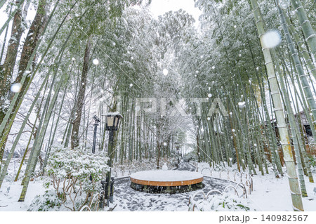 修善寺 竹林の小径 雪景色 (静岡県伊豆市) 修善寺 竹林の小径 雪景色 (静岡県伊豆市) 140982567