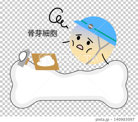 加齢により働きが低下している骨芽細胞のイラスト 加齢により働きが低下している骨芽細胞のイラスト 140983097