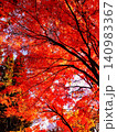 燃えるような紅葉 140983367