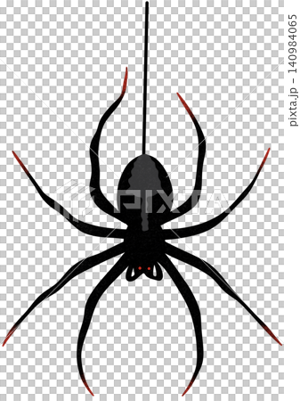 halloween black spider halloween black spider 140984065