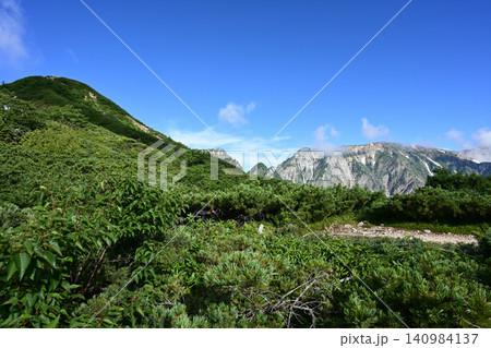 唐松岳登山、北アルプス、長野県 唐松岳登山、北アルプス、長野県 140984137