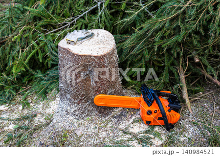orange chainsaw next to stump of cut fir tree 140984521