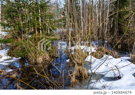 grove flooded with water from melting snow 140984874