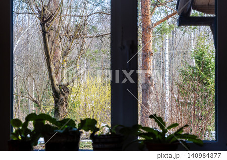 view through window of village house onto trees 140984877