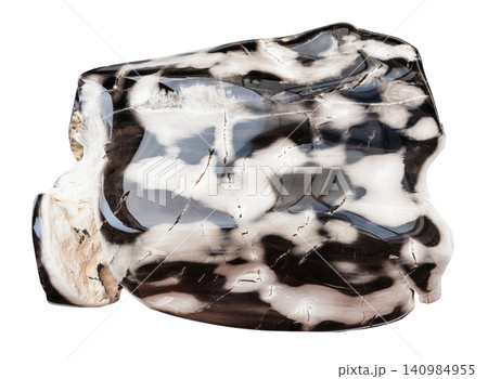 polished petrified wood isolated on white 140984955