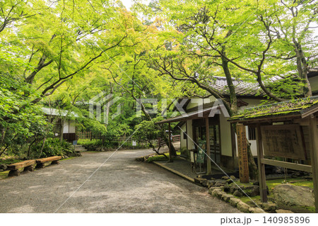 梅雨の楽寿園 梅雨の楽寿園 140985896