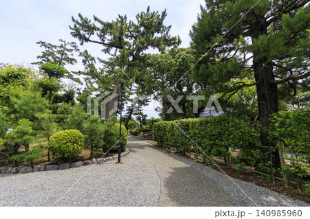梅雨の明治記念大磯庭園 梅雨の明治記念大磯庭園 140985960