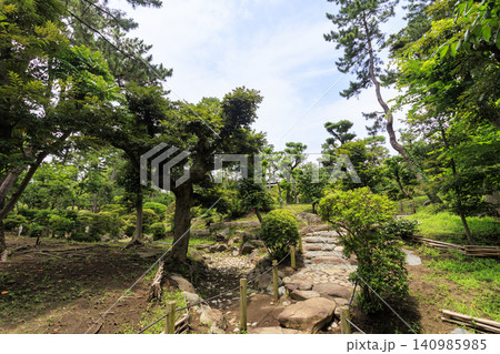 梅雨の明治記念大磯庭園 梅雨の明治記念大磯庭園 140985985