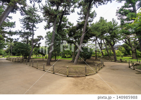 梅雨の明治記念大磯庭園 140985988