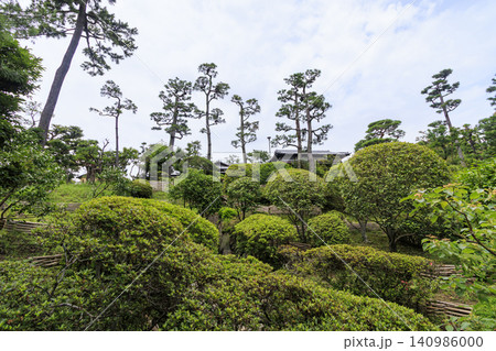 梅雨の明治記念大磯庭園 梅雨の明治記念大磯庭園 140986000
