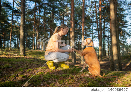 Nature harmony, companionship and leisure activity, positive confident woman playing with Vizsla dog Nature harmony, companionship and leisure activity, positive confident woman playing with Vizsla dog 140986497