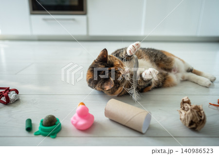 Positive cat enjoying playing with feather comfortably lying on floor surrounded by favorite toys. 140986523