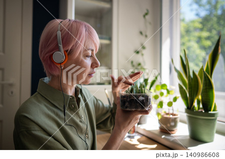 Mature woman plant lover checking condition of Zamioculcas leaves planted in container with soil Mature woman plant lover checking condition of Zamioculcas leaves planted in container with soil 140986608