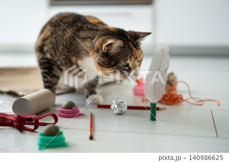 Domestic pet inspecting handmade toys placed on floor, playful cat highly interested fluffy feather. Domestic pet inspecting handmade toys placed on floor, playful cat highly interested fluffy feather. 140986625