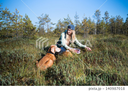 Woman hiker enjoys picking fresh cranberries and chatting with Vizsla dog while sitting at wetlands Woman hiker enjoys picking fresh cranberries and chatting with Vizsla dog while sitting at wetlands 140987018