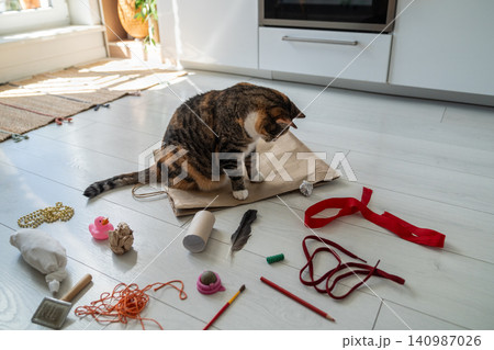 Interested cat sitting on paper bag surrounded by handmade pet toys made by caring pet owner. 140987026