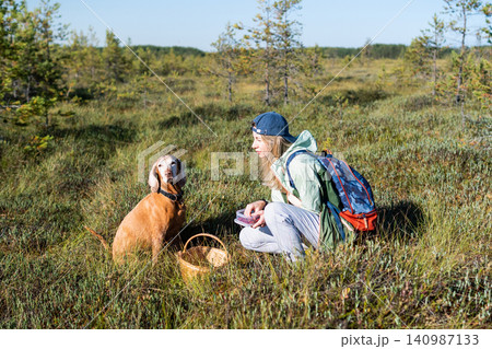 Woman backpacker on weekend trip outdoors with Vizsla dog walks in forest bog harvesting cranberries 140987133
