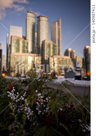 Skyline View Through Foreground Winter Foliage Skyline View Through Foreground Winter Foliage 140987411