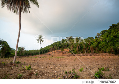 Land clearing and active deforestation for human agricultural needs and country development in rural areas of Thailand, forest damaged for future constructions. Land clearing and active deforestation for human agricultural needs and country development in rural areas of Thailand, forest damaged for future constructions. 140987662