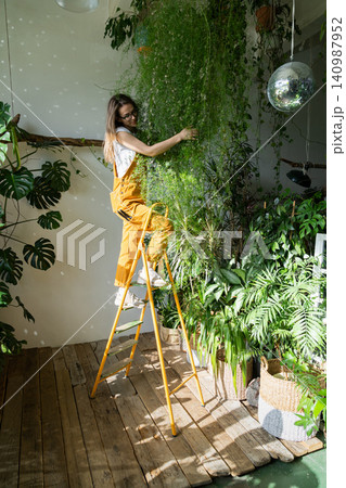Joyful young woman gardener standing on stepladder, embracing lush asparagus fern houseplant. Love of plants. Indoor garden. Joyful young woman gardener standing on stepladder, embracing lush asparagus fern houseplant. Love of plants. Indoor garden. 140987952