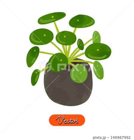 ピレア・ペペロミオイデスの鉢植え 水彩風手描きベクターイラスト ピレア・ペペロミオイデスの鉢植え 水彩風手描きベクターイラスト 140987992
