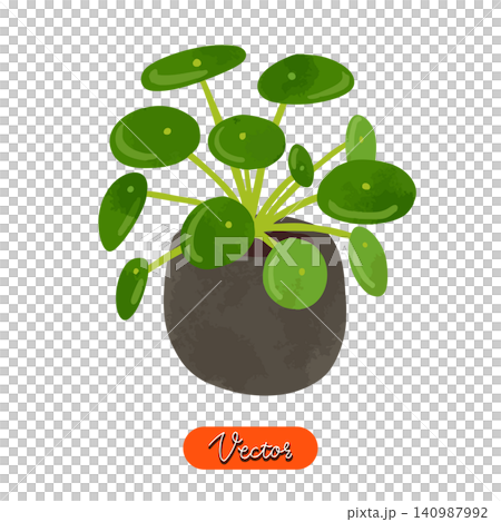 ピレア・ペペロミオイデスの鉢植え 水彩風手描きベクターイラスト ピレア・ペペロミオイデスの鉢植え 水彩風手描きベクターイラスト 140987992