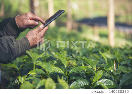 Smart farmer holding smartphone in eco green farm sustainable quality control. Close up Hand control planting tree. Farmer hands cultivated fresh garden in eco biotechnology. Farmland technology 140988350
