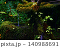 苔むす 140988691