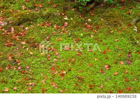 圓光寺の紅葉 140989238
