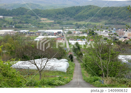 北海道、五月の仁木町、後志、果樹、果物、くだもの王国、春の北海道仁木町、ニキ、さくらんぼの花咲き乱れ 北海道、五月の仁木町、後志、果樹、果物、くだもの王国、春の北海道仁木町、ニキ、さくらんぼの花咲き乱れ 140990632