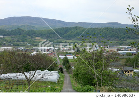 北海道、五月の仁木町、後志、果樹、果物、くだもの王国、春の北海道仁木町、ニキ、さくらんぼの花咲き乱れ 140990637